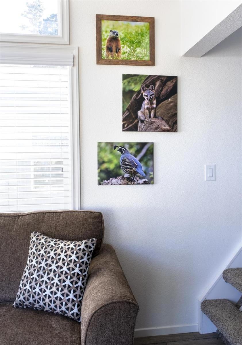Vila Woodchuck Flat Fort Bragg Exteriér fotografie